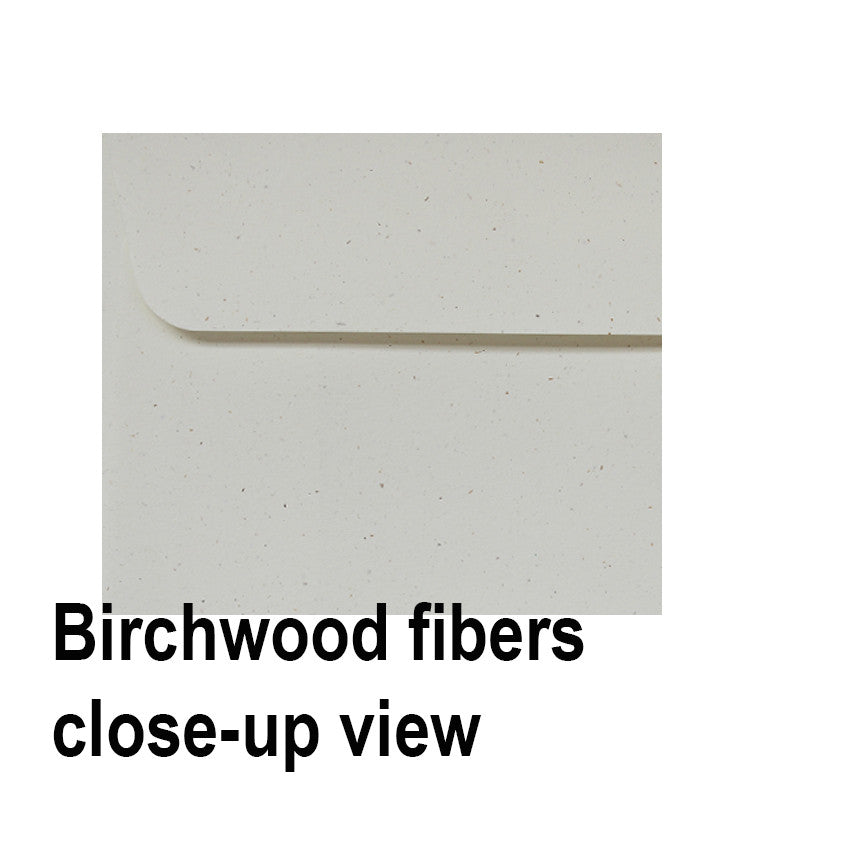 Birchwood 130x130mm Square Recylced Off White Envelope World
